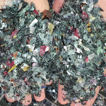 rPET plastico sostenible reciclable