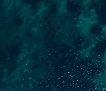 Resposabilidad-social