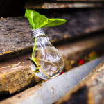 Marketing Ecologico Con Envases De Plastico