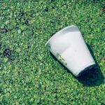 Materiales Biodegradables Son Mas Sostenibles