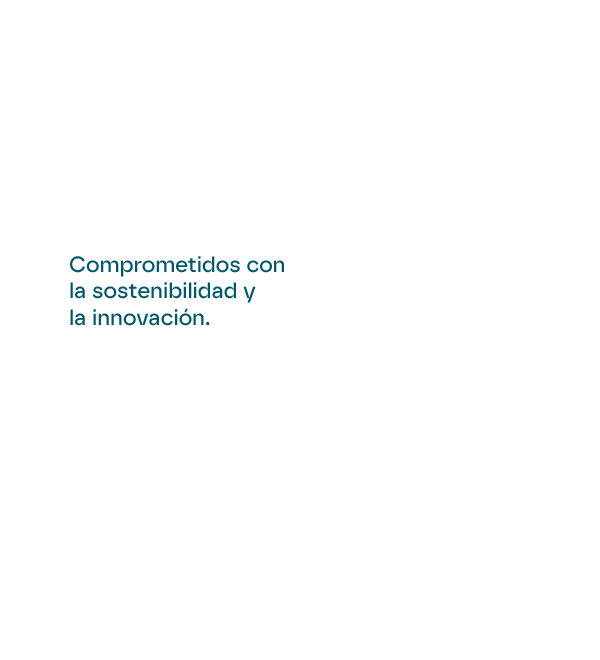 Comprometidos Con La Sostenibilidad Y La Innovacion